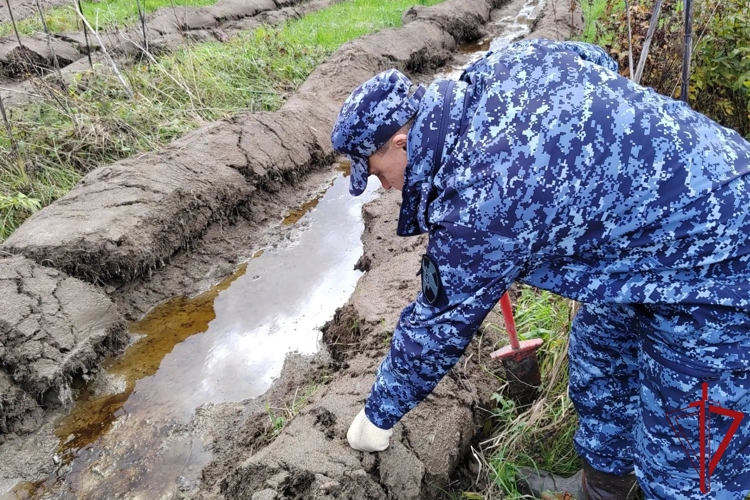 В Ленобласти представители Росгвардии приняли участие во Всероссийской экологической акции «Сохраним лес»