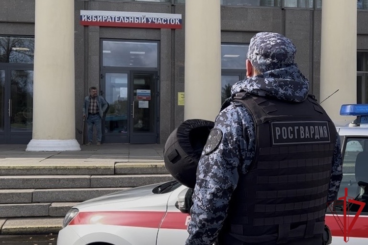 В Колпинском районе Петербурга росгвардейцы задержали двух нетрезвых нарушителей общественного порядка в период проведения Единого дня голосования