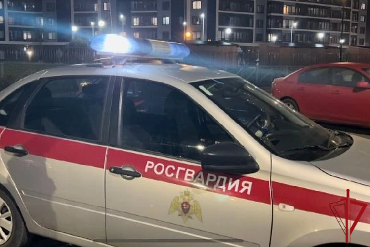 В Кировском районе наряд Росгвардии задержал мужчину, подозреваемого в особо тяжком преступлении
