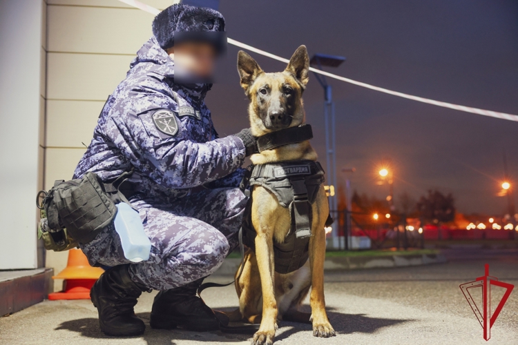В Петербурге сотрудники и военнослужащие Росгвардии приняли участие в обеспечении правопорядка на футбольном матче "Зенит" - "Динамо Махачкала"