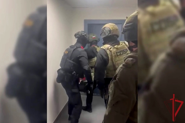 В Санкт-Петербурге при силовой поддержке СОБР Росгвардии пресечена деятельность подпольного банка