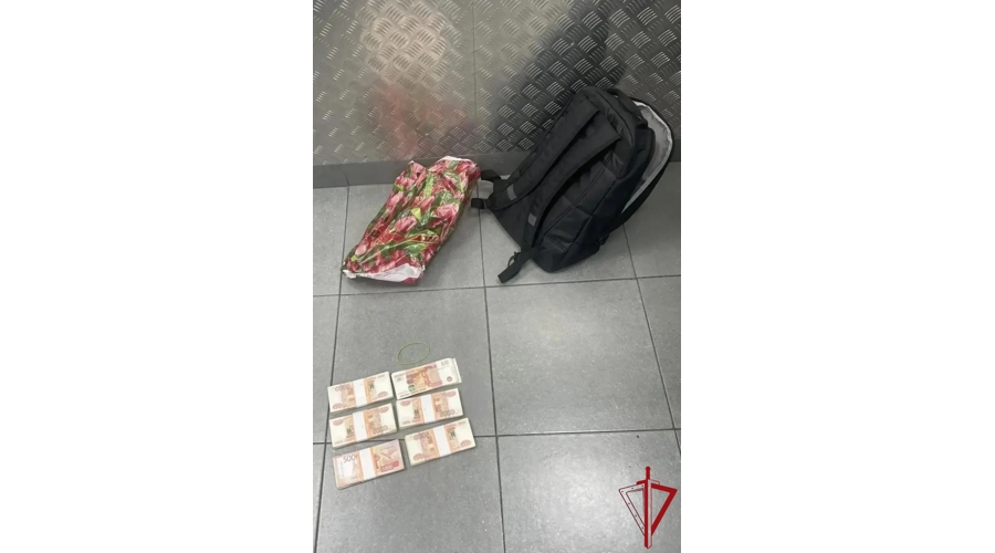 В Московском районе наряд Росгвардии задержал дроппера, забравшего у пенсионерки около 3 миллионов рублей