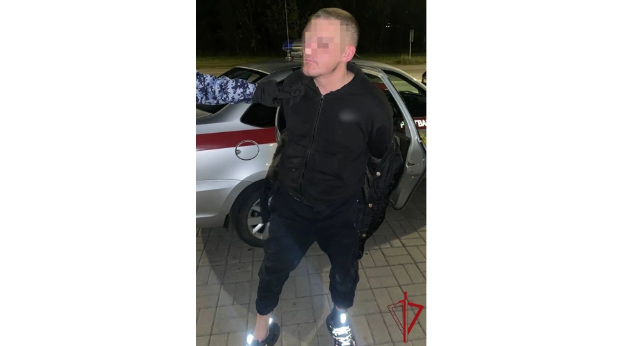 В Красногвардейском районе наряд Росгвардии задержал хулигана, ночью бросавшего камни в окна квартир