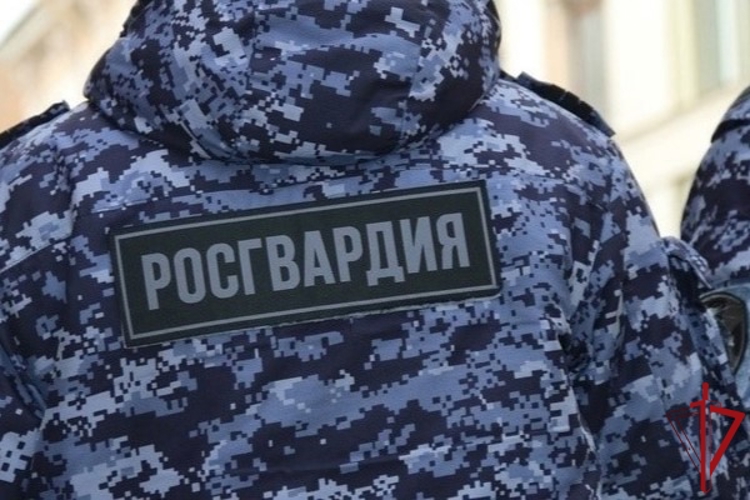 В Центральном районе наряд Росгвардии задержал пособницу телефонных мошенников, пытавшуюся проникнуть в чужую квартиру