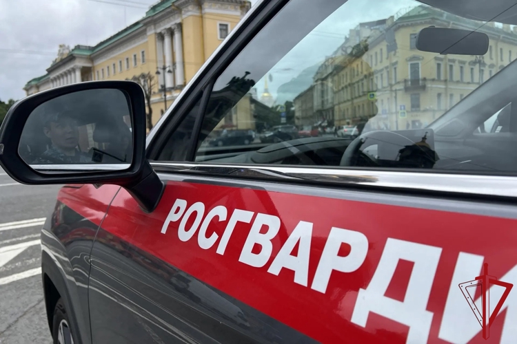 В Центральном районе сотрудники Росгвардии задержали хозяйку квартиры, подозреваемую в хранении запрещенных веществ, и двух правонарушителей, ворвавшихся в её жилье  