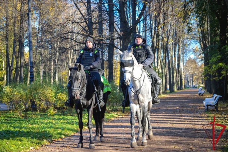 В Санкт-Петербурге сотрудники и военнослужащие Росгвардии обеспечили правопорядок на футбольном матче "Зенит" - "Ахмат"