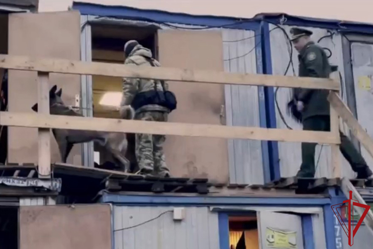 В Петербурге сотрудники ОМОН Росгвардии оказали содействие военному следствию и военной полиции в проведении рейда