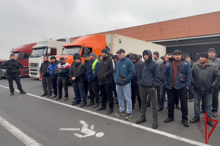 Сотрудники ОМОН Росгвардии оказали содействие полиции в проведении профилактического рейда в Петро-Славянке